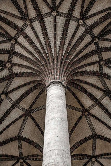20090527-_MG_1414.jpg