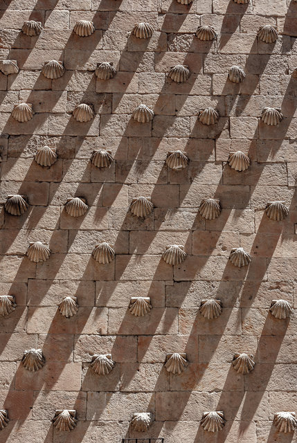 20090717-_MG_8531 2.jpg