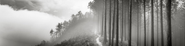 Ohenro, le chemin de Shikoku