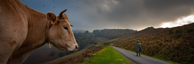 071017_MG_4772.jpg
