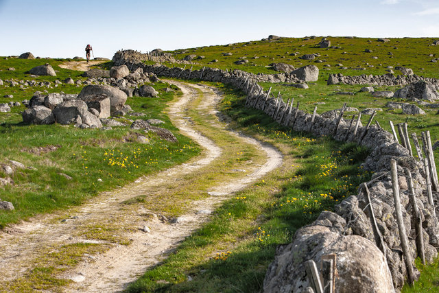 20090524-_MG_0306_LEONNAR_HD.jpg