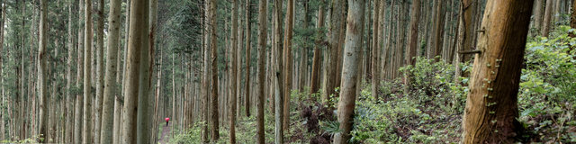 jp_16-04-27_ 287-PanoramaLARGE_LEONNAR_HD.jpg