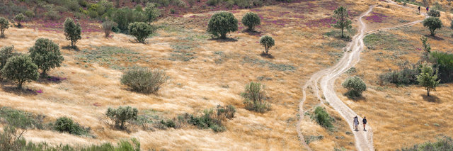 20080812-_MG_0474-Panorama.jpg