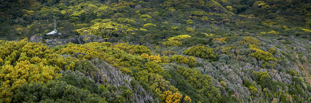 jp_17-04-20_ 100-Panorama.jpg