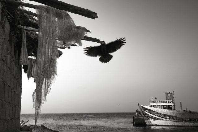 Rimbaud dans le sillage du bateau ivre