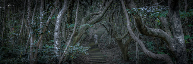 jp_17-04-19_ 242-Panorama.jpg