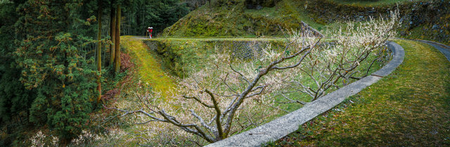 jp_16-03-18_ 220-Panorama-2.jpg