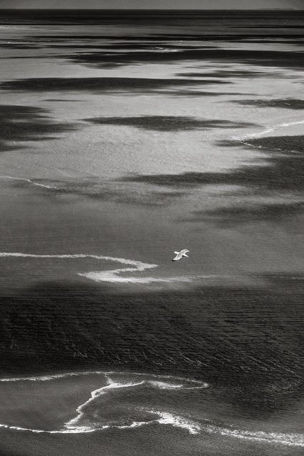 France, Normandie, Manche (50), baie du Mont Saint-Michel