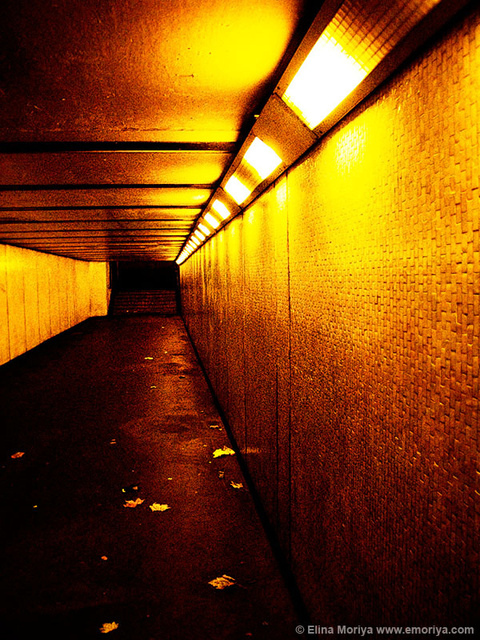 emoriya_tunnels_06122419.jpg