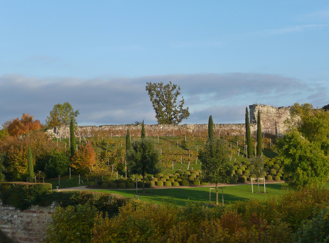 Sologne, novembre 2010