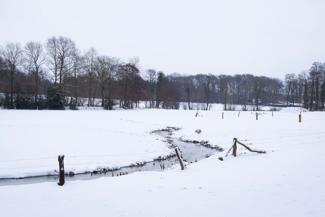 Beekdal in winter 2009/2010