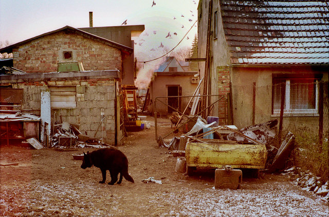 The farming couple Helmut and Hertha in Froeßnitz, Germany, live like they are in another time.