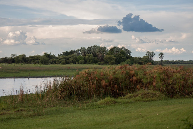 Thamalakane River