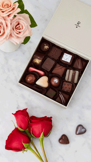 VD_Choc.gif