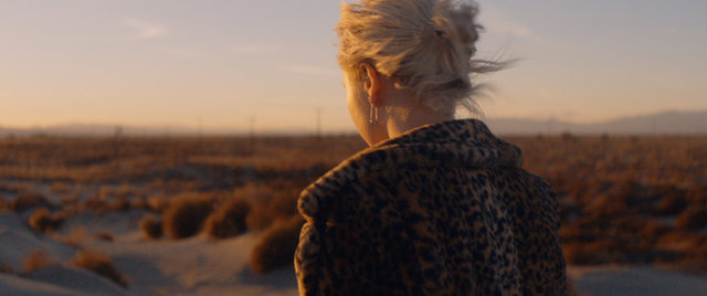 DR_0013_Screen Shot 2018-10-23.jpeg