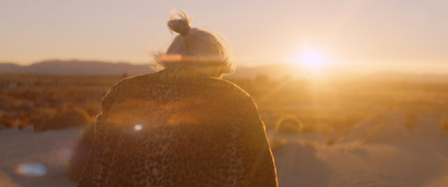 DR_0066_Screen Shot 2018-10-23.jpeg