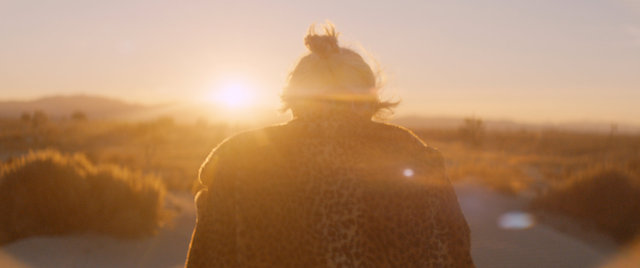 DR_0065_Screen Shot 2018-10-23.jpeg