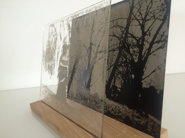 Installation-VERDUN IN MEMORIAM-collodion-006.JPG