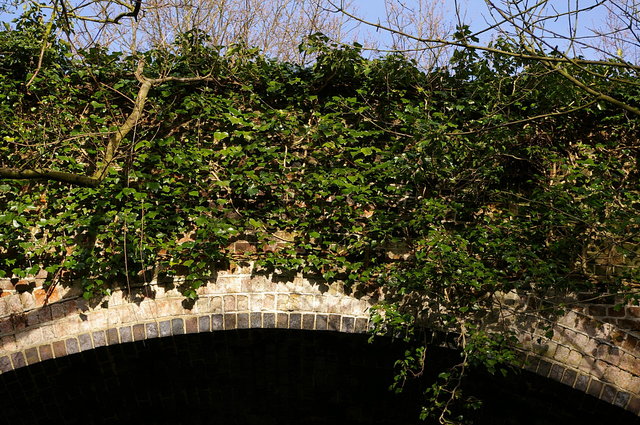 Bridge & Ivy Ayot Greenway VB.JPG