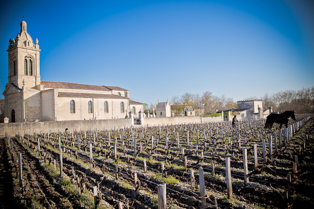 Margaux28 © Laurent Gazal.jpg