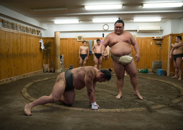KAKUREMINO: In the Dohyō - Tokyo, 2025