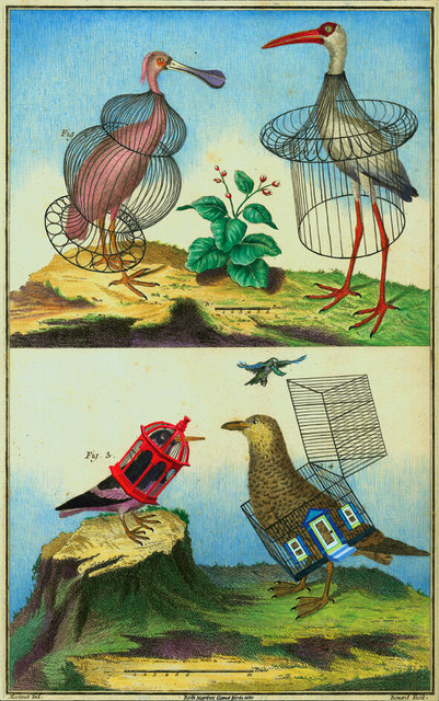 Caged Birds