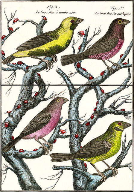 Migration