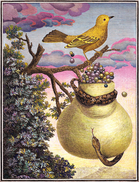 Abundance