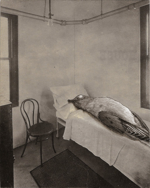 In Repose, 2016