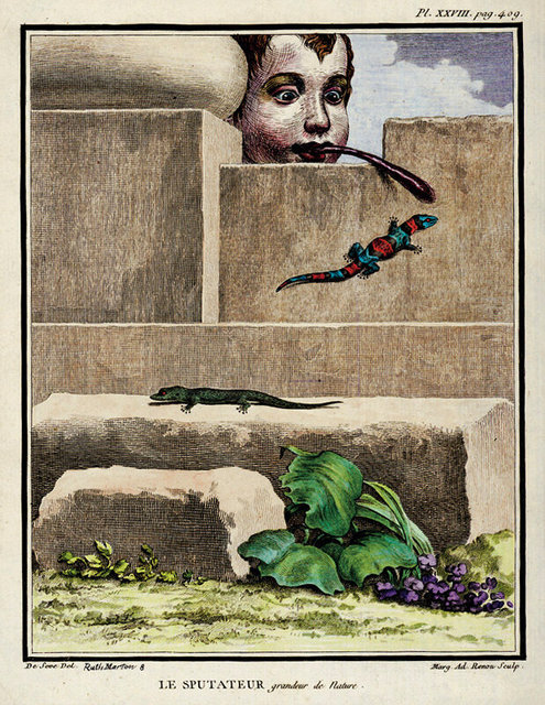 Le Sputateur