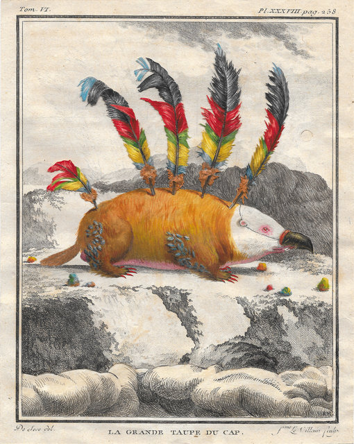 La Grande Taupé, 2016