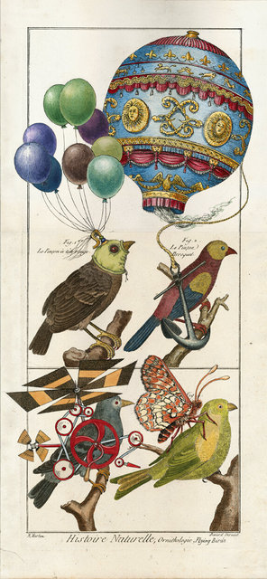 Flying Birds