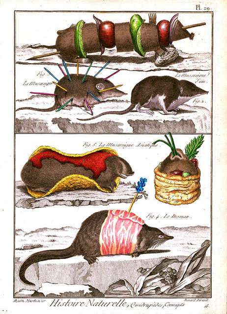 Canapés