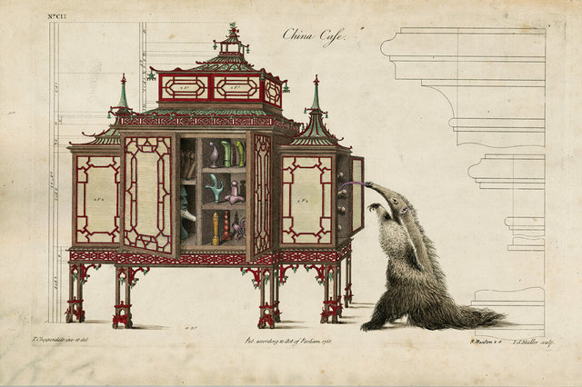 Chinese Case