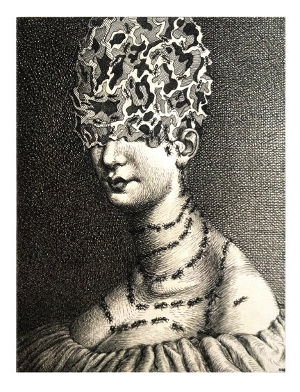 0009_Formacarina .jpg