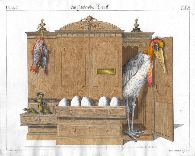 Wardrobe, 2017