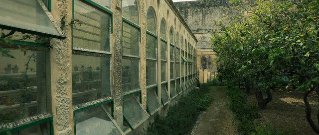 malta-316.jpg