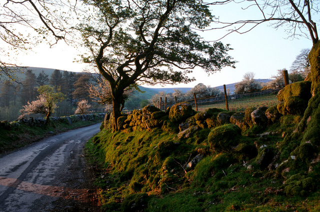 La route de Buckland-in-the-Moor,Dartmoor,Devon,1999.