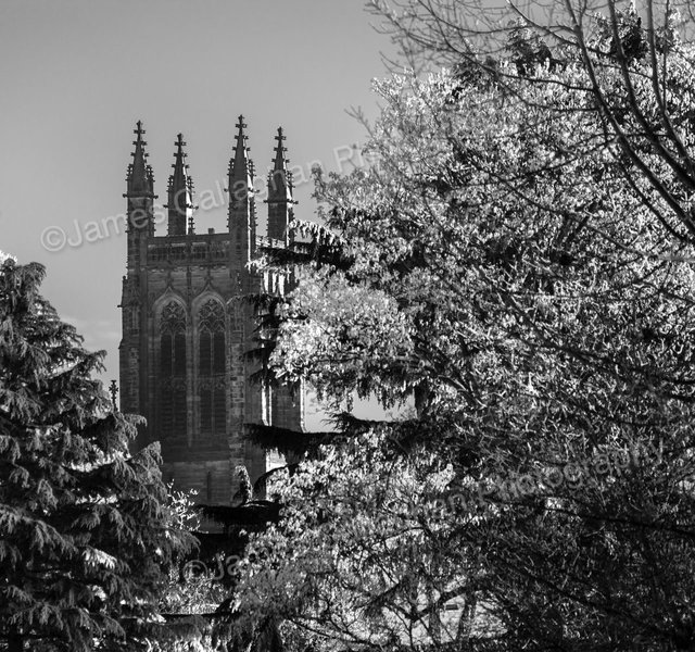 _04J0673mono.jpg