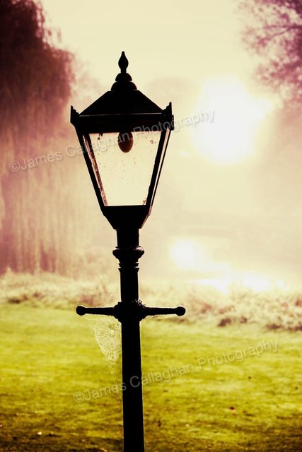 Jephsons Lamp post.jpg