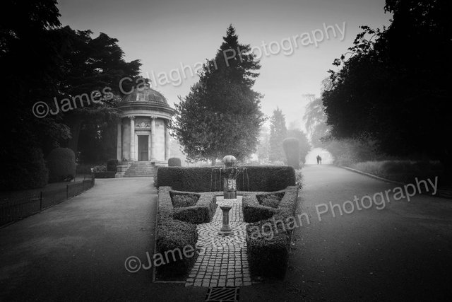 _MG_9984Mono.jpg