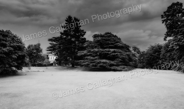 _DSC6789Mono.jpg