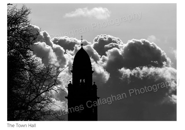 012A6744crop_2-1.jpg