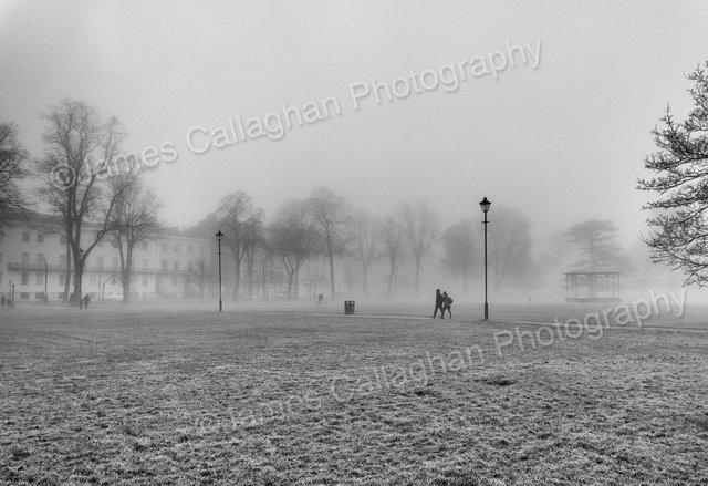 _DSC6329Crop.jpg