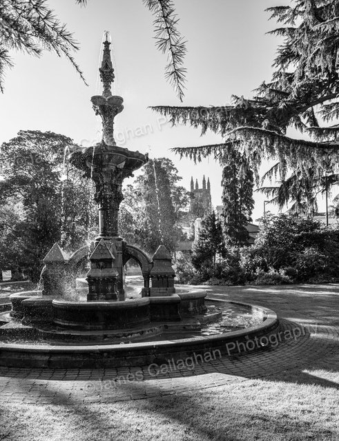 _MGL5285mono_1.jpg