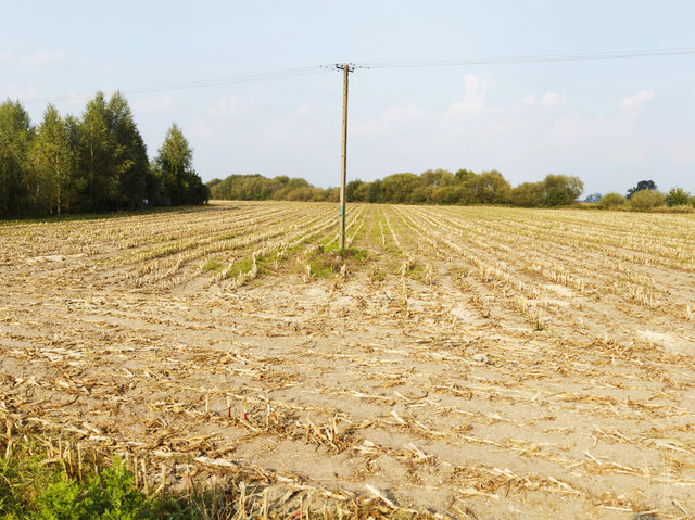 Chełmno nad Nerem, Poland 2014