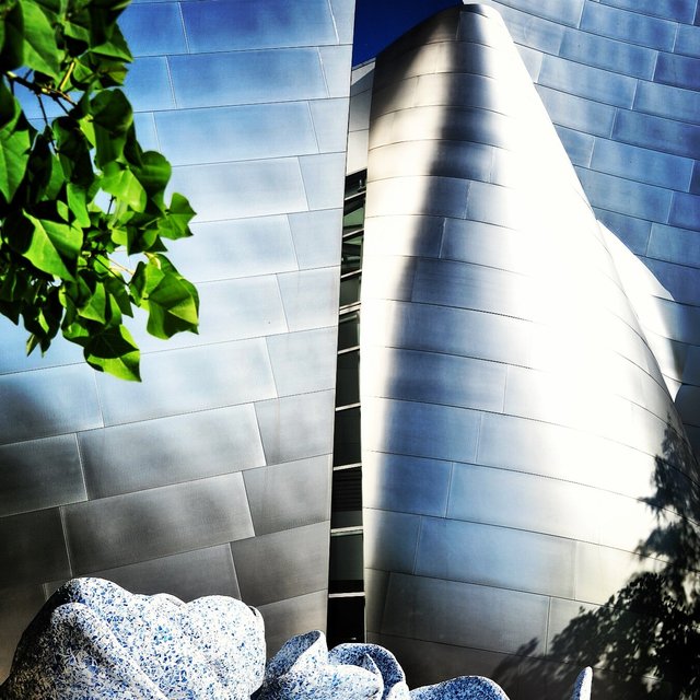 WALT DISNEY CONCERT HALL - WATER 1