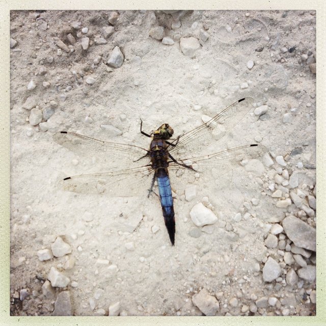 20150717_3130.JPG