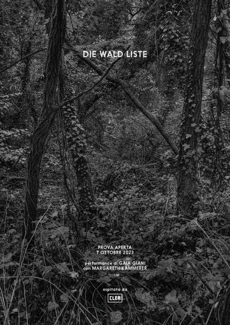 WALD LISTE_poster_image_Page_1.jpg