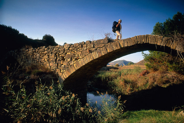 Pont sur le Rio Salado en Navarre, Espagne